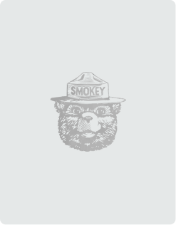 Smokey Bear