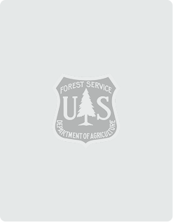 United States Forest Service